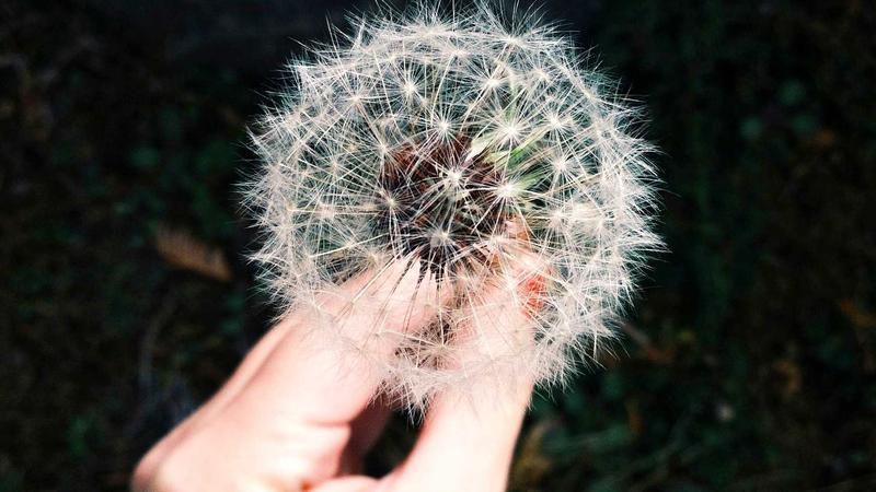 蜜桃视频高清流畅播放